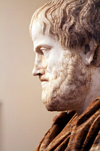 Aristotle By Nick In Exsilio